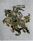 Vytis camouflage 